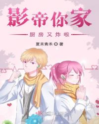 影帝你家厨房又炸啦