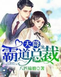 天降霸道总裁