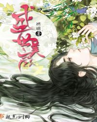 盛世美颜之