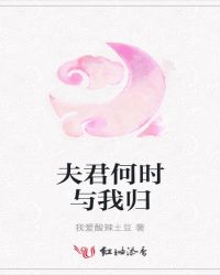夫君何时与我归