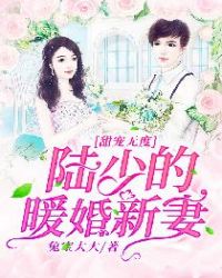 甜宠无度， 陆少的暖婚新妻