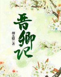 晋卿记