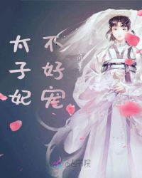 太子妃不好宠
