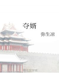 夺婿