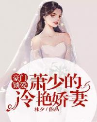 豪门锁爱:萧少的冷艳娇妻