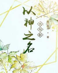 以神之名光与影