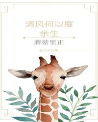 清风何以度余生