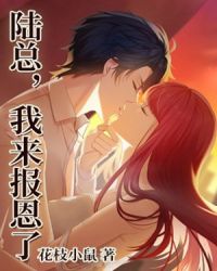 陆总，我来报恩了