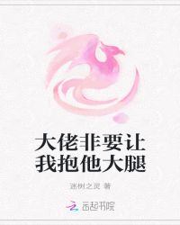 大佬非要让我抱他大腿