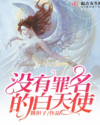 没有罪名的白天使