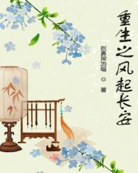 重生之风起长安