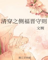 清穿之侧福晋守则