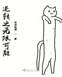 逆转之无限可能