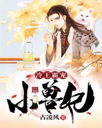 冷王霸宠小兽妃