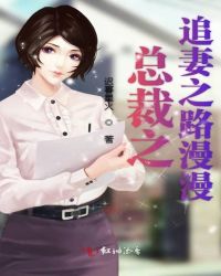 总裁之追妻之路漫漫