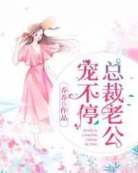 总裁老公宠不停