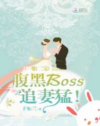 一胎二宝：腹黑Boss追妻猛！