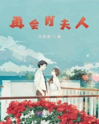 再会肖夫人