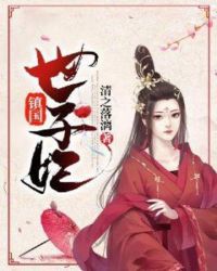 镇国世子妃