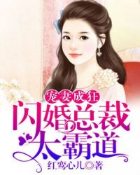 闪婚总裁太霸道
