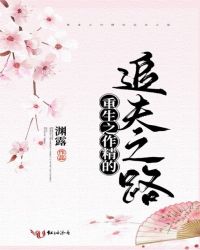重生之作精的追夫之路