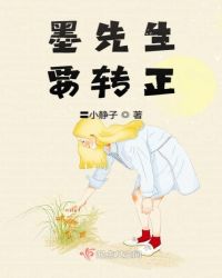 墨先生要转正