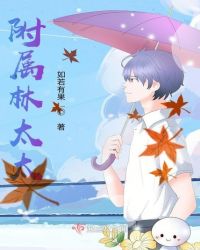 附属林太太