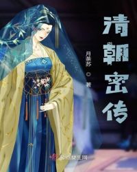 清朝密传