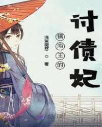 镇南王的讨债妃