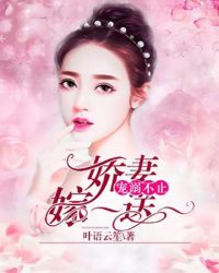 宠溺不止：娇妻嫁一送一