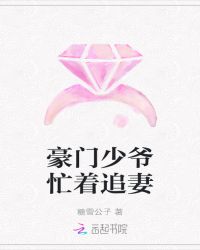 豪门少爷忙着追妻