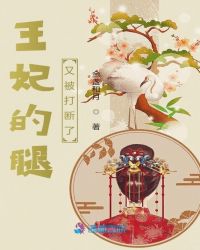 王妃的腿又被打断了