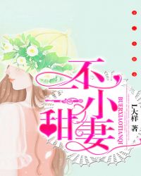 不二小甜妻
