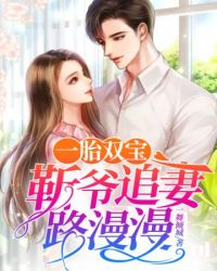 一胎双宝之靳爷追妻路漫漫