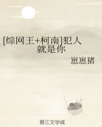 [综网王+柯南]犯人就是你