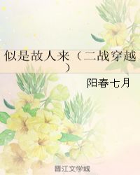 似是故人来（二战穿越）