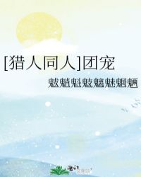 [猎人同人]团宠
