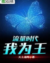 流量时代：我为王