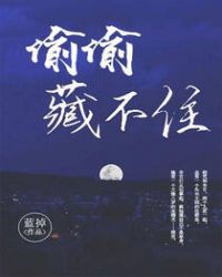 偷偷藏不住