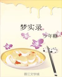 梦实录