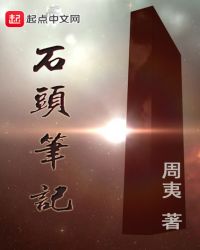 石头笔记1