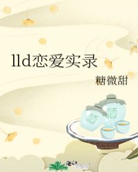 lld恋爱实录