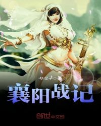 襄阳战记
