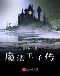 魔法王子传