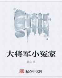 大将军小冤家