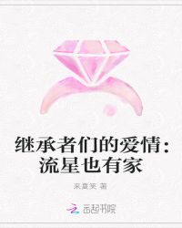 继承者们的爱情：流星也有家