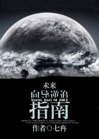 向导逆追指南[未来]