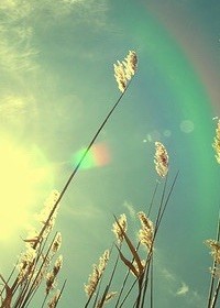 权先生的夏雨