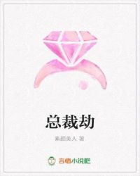 总裁劫