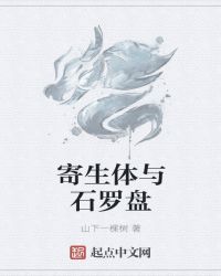 寄生体与石罗盘